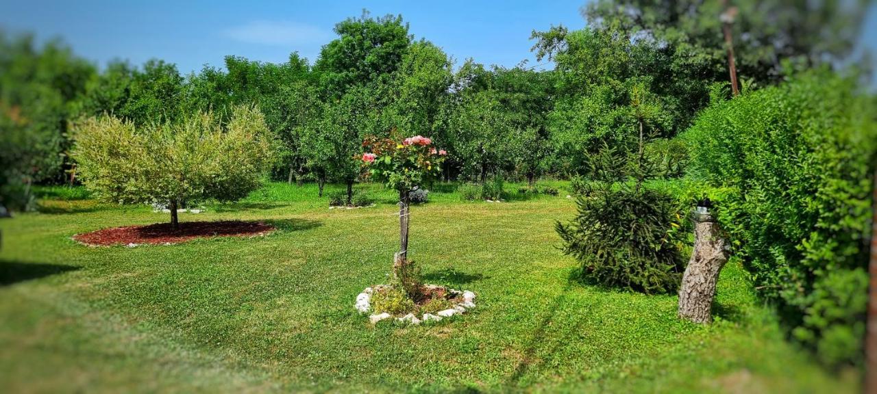 Gajica Konak-Orasac Arandelovac Buitenkant foto